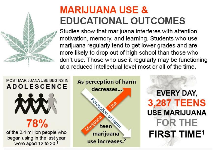 marijuana use & educational outcomes